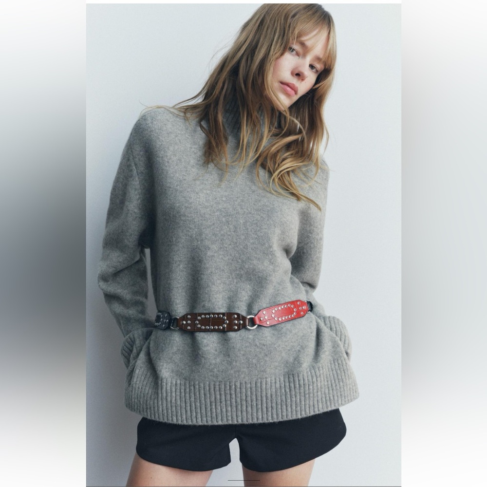 Zara Red and Brown Women's Belt